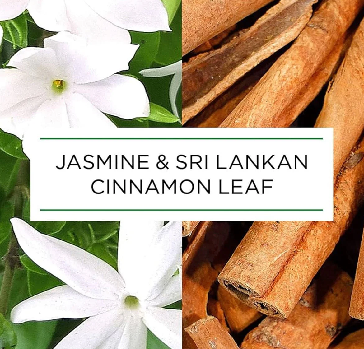 Air Wick Candle Botanica Jasmine & Sri Lankan Cinnamon Leaf 3 Air Wick Candle Botanica Jasmine & Sri Lankan Cinnamon Leaf