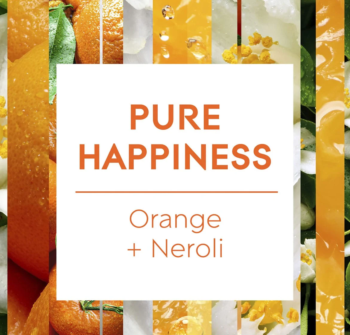 Glade Candle Aromatherapy Pure Happiness Orange + Neroli 2 Glade Candle Aromatherapy Pure Happiness Orange + Neroli